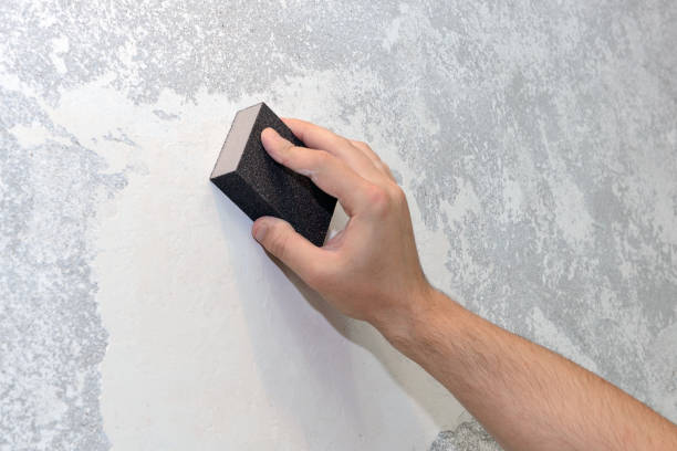 Best Industrial Mold Remediation  in Orchard City, CO