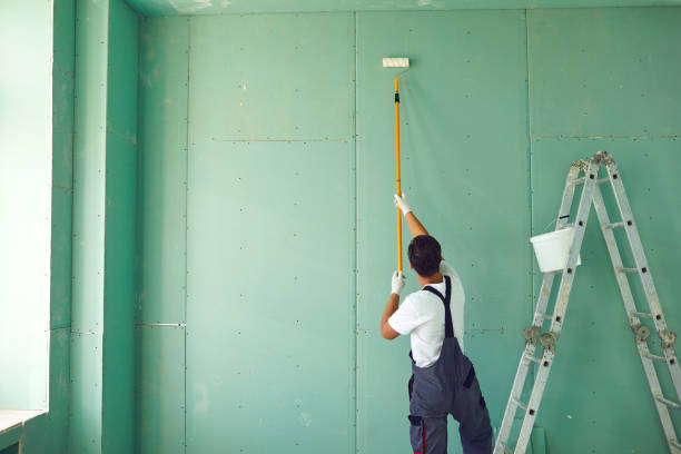 Best Attic Mold Removal  in Orchard City, CO