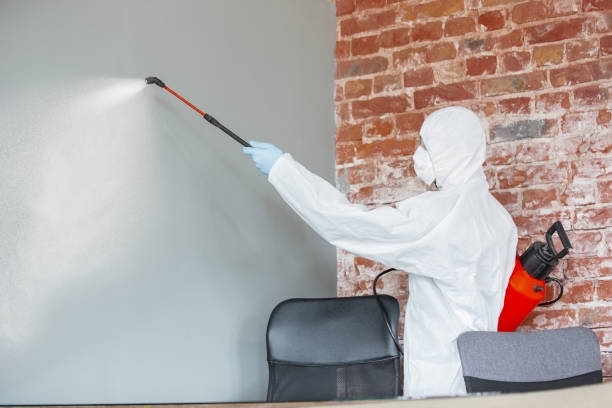 Best Water Damage & Mold Remediation  in Orchard City, CO