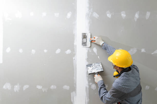 Best Black Mold Removal  in Orchard City, CO