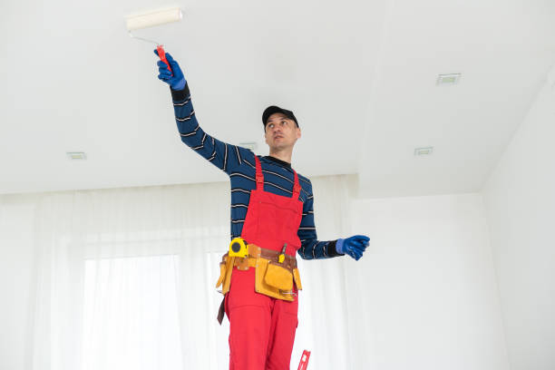 Best Biohazard Mold Removal  in Orchard City, CO