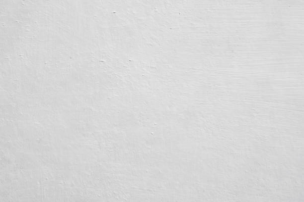 Best Attic Mold Removal  in Orchard City, CO