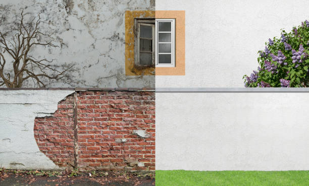 Best Mold Remediation for Healthcare Facilities  in Orchard City, CO