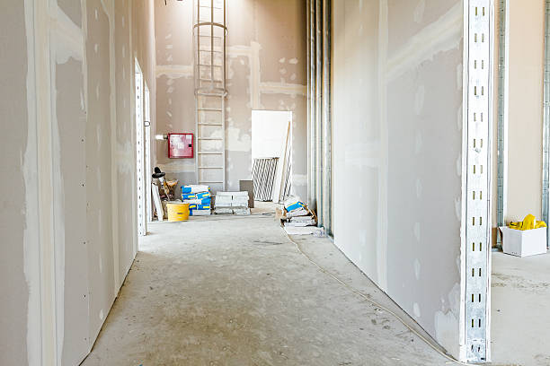 Orchard City, CO Mold Removal Company